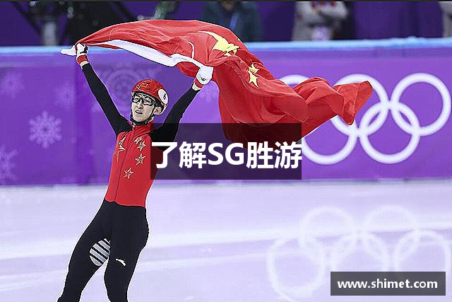 了解SG胜游
